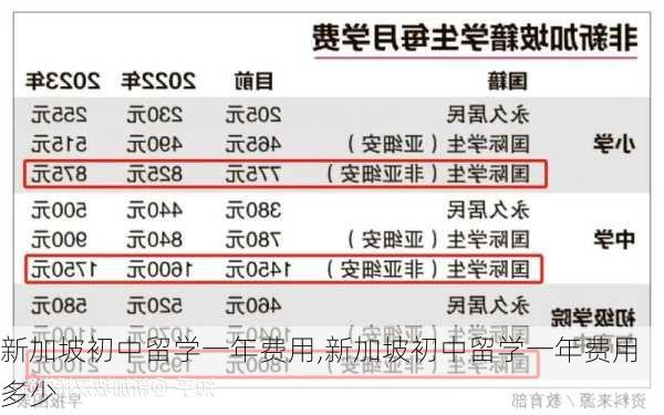 新加坡初中留学一年费用,新加坡初中留学一年费用多少