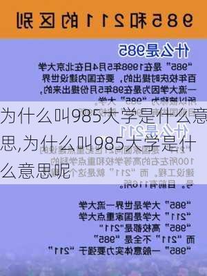 为什么叫985大学是什么意思,为什么叫985大学是什么意思呢