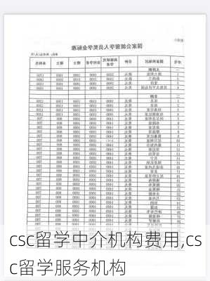 csc留学中介机构费用,csc留学服务机构