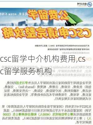 csc留学中介机构费用,csc留学服务机构