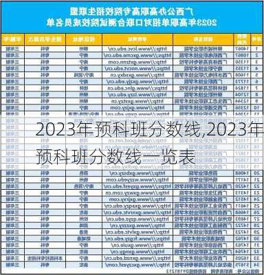 2023年预科班分数线,2023年预科班分数线一览表