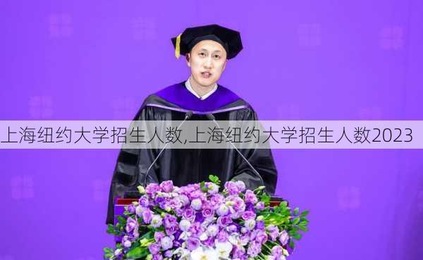 上海纽约大学招生人数,上海纽约大学招生人数2023