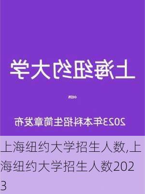 上海纽约大学招生人数,上海纽约大学招生人数2023