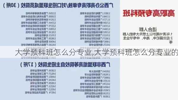 大学预科班怎么分专业,大学预科班怎么分专业的