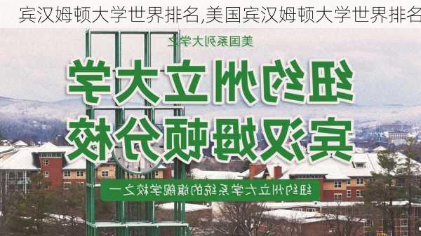 宾汉姆顿大学世界排名,美国宾汉姆顿大学世界排名