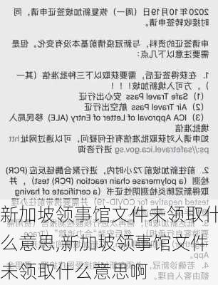 新加坡领事馆文件未领取什么意思,新加坡领事馆文件未领取什么意思啊