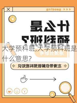 大学预科班,大学预科班是什么意思?