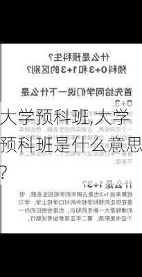 大学预科班,大学预科班是什么意思?