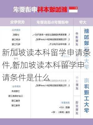 新加坡读本科留学申请条件,新加坡读本科留学申请条件是什么