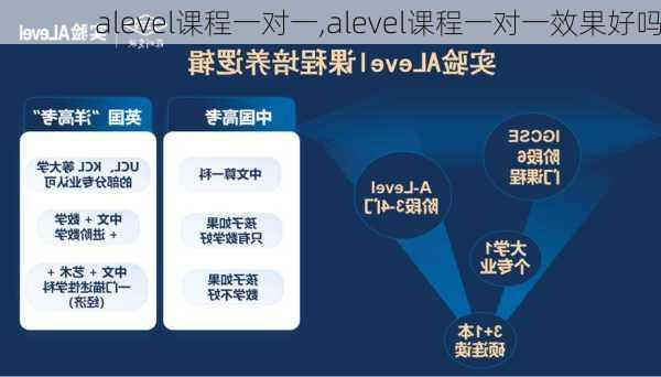 alevel课程一对一,alevel课程一对一效果好吗