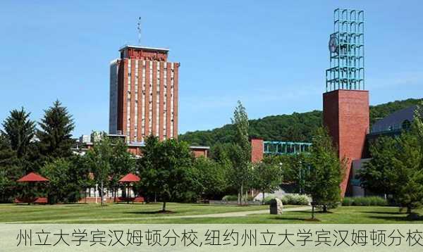 州立大学宾汉姆顿分校,纽约州立大学宾汉姆顿分校