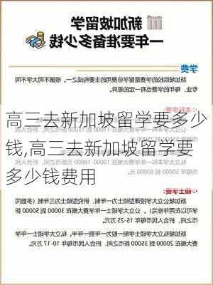 高三去新加坡留学要多少钱,高三去新加坡留学要多少钱费用