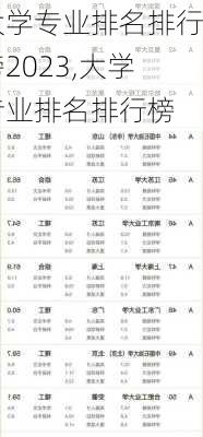 大学专业排名排行榜2023,大学专业排名排行榜