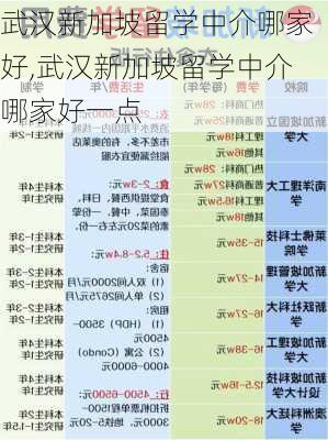 武汉新加坡留学中介哪家好,武汉新加坡留学中介哪家好一点