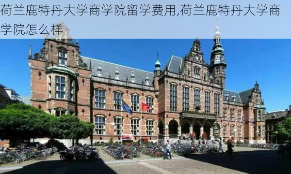 荷兰鹿特丹大学商学院留学费用,荷兰鹿特丹大学商学院怎么样