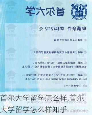 首尔大学留学怎么样,首尔大学留学怎么样知乎