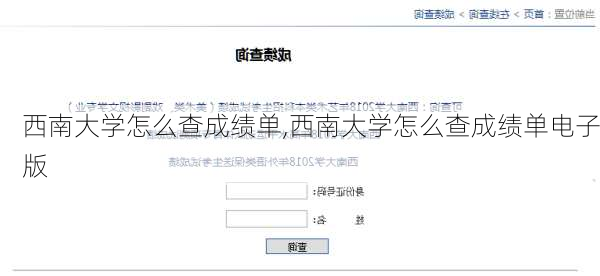 西南大学怎么查成绩单,西南大学怎么查成绩单电子版