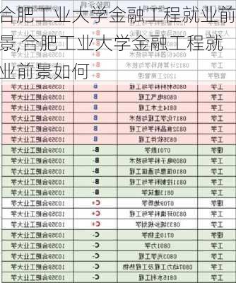 合肥工业大学金融工程就业前景,合肥工业大学金融工程就业前景如何