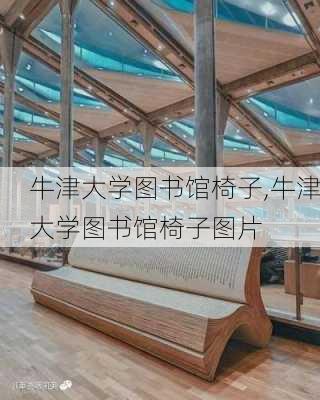 牛津大学图书馆椅子,牛津大学图书馆椅子图片