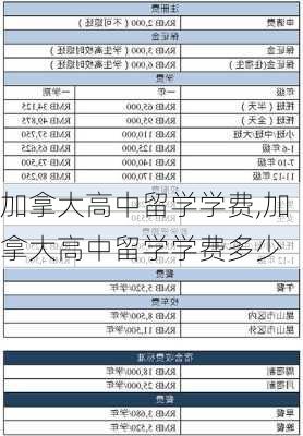 加拿大高中留学学费,加拿大高中留学学费多少