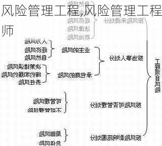 风险管理工程,风险管理工程师