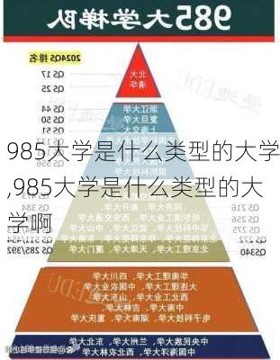 985大学是什么类型的大学,985大学是什么类型的大学啊