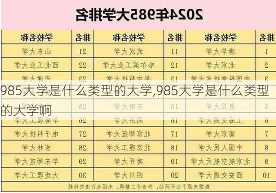 985大学是什么类型的大学,985大学是什么类型的大学啊