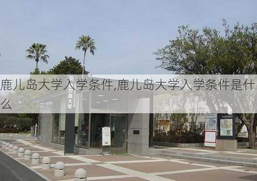 鹿儿岛大学入学条件,鹿儿岛大学入学条件是什么