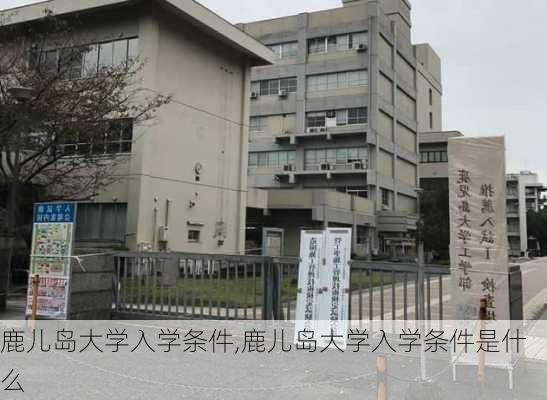 鹿儿岛大学入学条件,鹿儿岛大学入学条件是什么