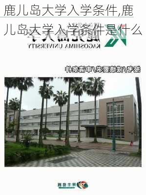 鹿儿岛大学入学条件,鹿儿岛大学入学条件是什么