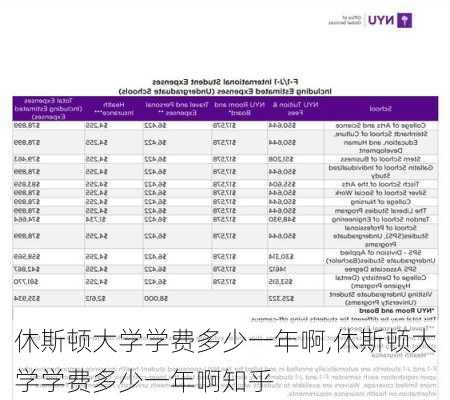 休斯顿大学学费多少一年啊,休斯顿大学学费多少一年啊知乎