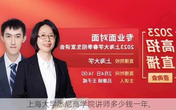 上海大学悉尼商学院讲师多少钱一年,