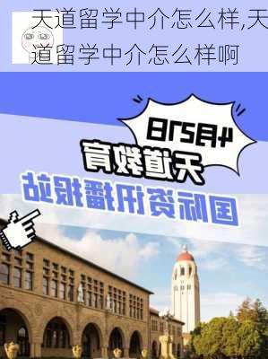 天道留学中介怎么样,天道留学中介怎么样啊