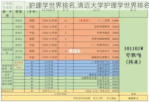 护理学世界排名,清迈大学护理学世界排名