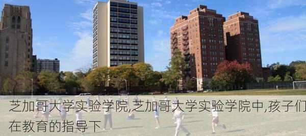 芝加哥大学实验学院,芝加哥大学实验学院中,孩子们在教育的指导下