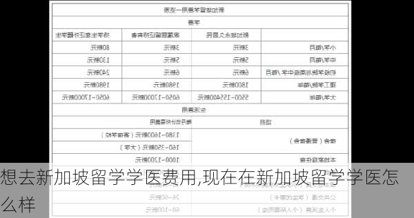 想去新加坡留学学医费用,现在在新加坡留学学医怎么样