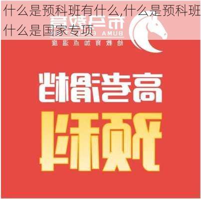 什么是预科班有什么,什么是预科班什么是国家专项