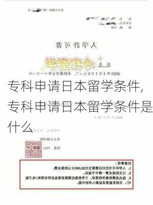 专科申请日本留学条件,专科申请日本留学条件是什么