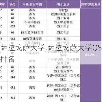 萨拉戈萨大学,萨拉戈萨大学QS排名