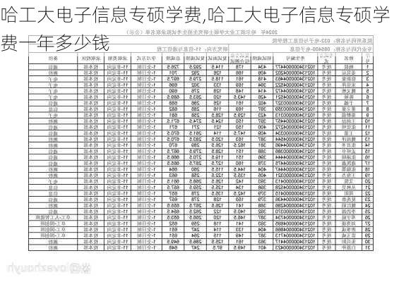 哈工大电子信息专硕学费,哈工大电子信息专硕学费一年多少钱