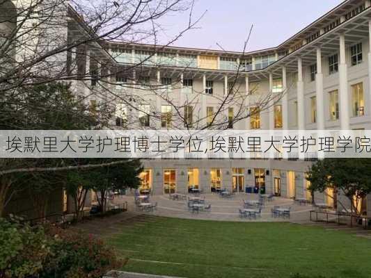 埃默里大学护理博士学位,埃默里大学护理学院