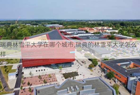 瑞典林雪平大学在哪个城市,瑞典的林雪平大学怎么样