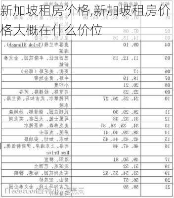 新加坡租房价格,新加坡租房价格大概在什么价位