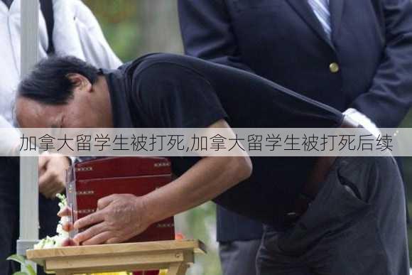 加拿大留学生被打死,加拿大留学生被打死后续