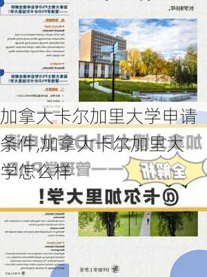 加拿大卡尔加里大学申请条件,加拿大卡尔加里大学怎么样