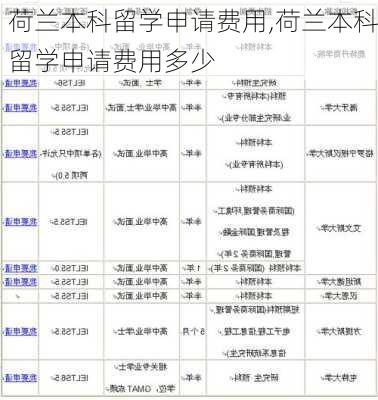 荷兰本科留学申请费用,荷兰本科留学申请费用多少