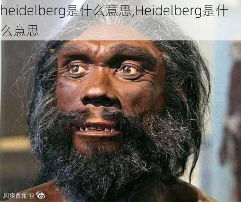 heidelberg是什么意思,Heidelberg是什么意思