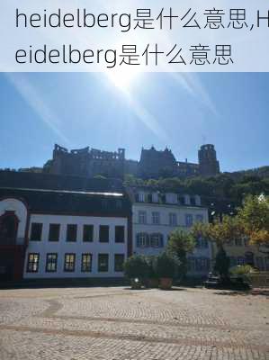 heidelberg是什么意思,Heidelberg是什么意思