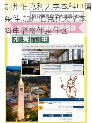 加州伯克利大学本科申请条件,加州伯克利大学本科申请条件是什么