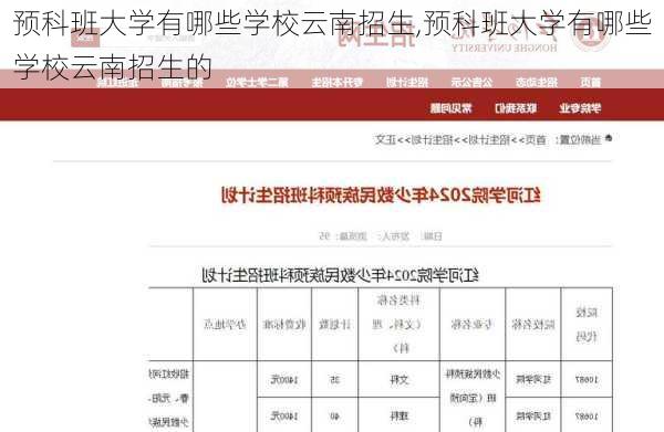 预科班大学有哪些学校云南招生,预科班大学有哪些学校云南招生的